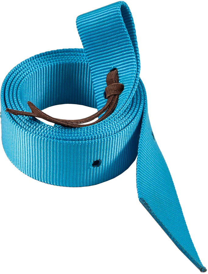 Ezy Ride Latigo Plain Nylon Nearside Turquoise - GTMU9040V