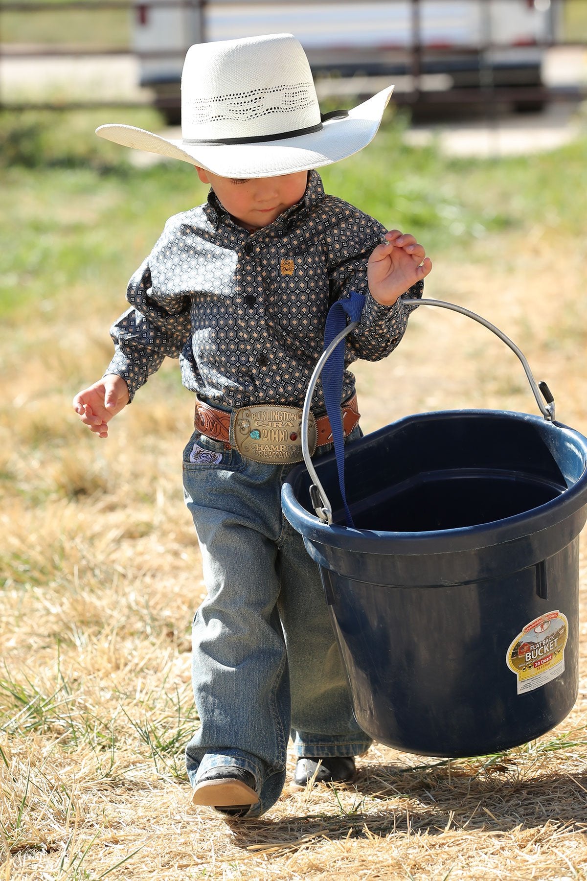 Cinch Baby Boys L/S Shirt - Navy/Gold - MTW7062292